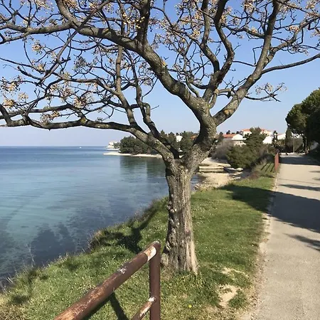 Apartman Mirella Apartment